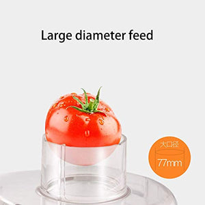 lq ZTT Juicer Machines, Slow Masticating Juicer, Cold Press Juicer Extractor, Centrifugal Juice Extractor for Fruit，Dual Speed and Overheat Overload Protection