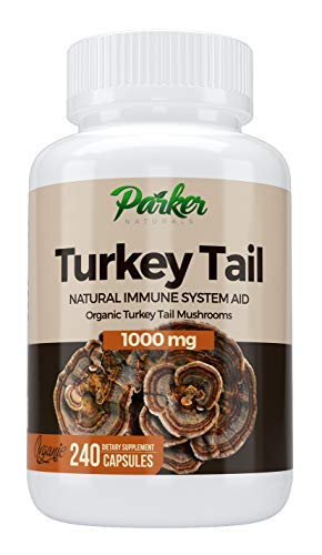 Premium Organic Turkey Tail Mushroom Capsules by Parker Naturals Supports Immune System Health. Nature's Original Superfood. 240 Capsules …