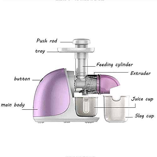 XBYUNDING Juicer Machines,Juicer Masticating Juicer,Large Caliber Juice Machine,Squeezed Sugar Cane Machine,Pomegranate Slag Juice,Fully Automatic Fried Juice Machine