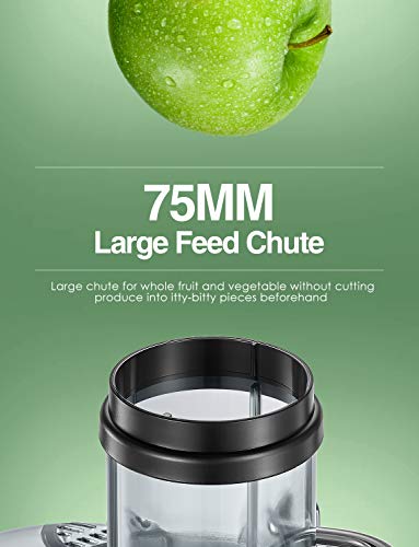 A/C Juicer Machines 1000 W Juicer Extractor Whole Fruit and Vegetables, Dual Speed Juicer with Higher Juice and Nutrition Yield, Anti-Drip Function, Stainless Steel, Silver and Black