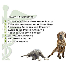 Pittie Cool Hemp Oil for Pets, Strawberry Flavor, 1000MG, Natural, Hips & Joints, Calming, Anxiety