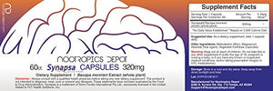 Synapsa Bacopa Monnieri Capsules | 320mg | 60 Count | Whole Plant Extract | Ayurveda Supplement | Adaptogen Herb | Clinically Proven to Enhance Learning, Memory and Mental Performance