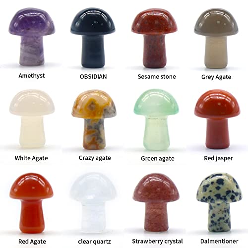 20 Pcs Mushroom Shaped Chakra Stones Natural Polished Crystals Agate Gemstones for Healing Chakras Balancing Meditation Yoga Miniature Moss Landscape(Random Colors)