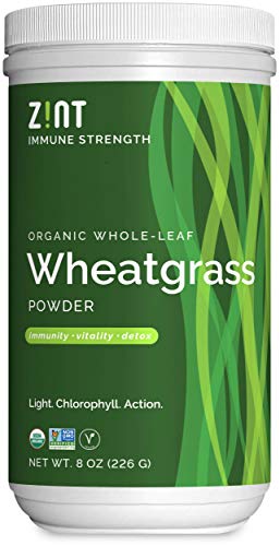 Zint Wheatgrass Powder, Organic (8 oz): Powerful Immune Support Supplement, Whole Leaf Antioxidant Chlorophyll Source for Detox, Immunity Booster