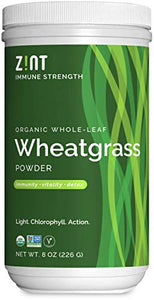 Zint Wheatgrass Powder, Organic (8 oz): Powerful Immune Support Supplement, Whole Leaf Antioxidant Chlorophyll Source for Detox, Immunity Booster