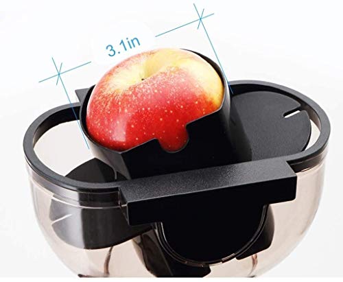 wan QIN Juicer Machines, Slow Masticating Juicer Extractor, Cold Press Juicer, Easy to Clean Brush & Quiet Motor for Vegetables&Fruits, 3.15inch Wide Chute,1L