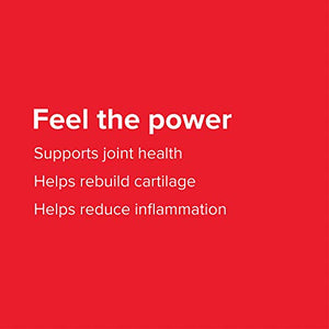Vibrant Health, Joint Vibrance, Comprehensive Joint and Cartilage Support, 21 Servings