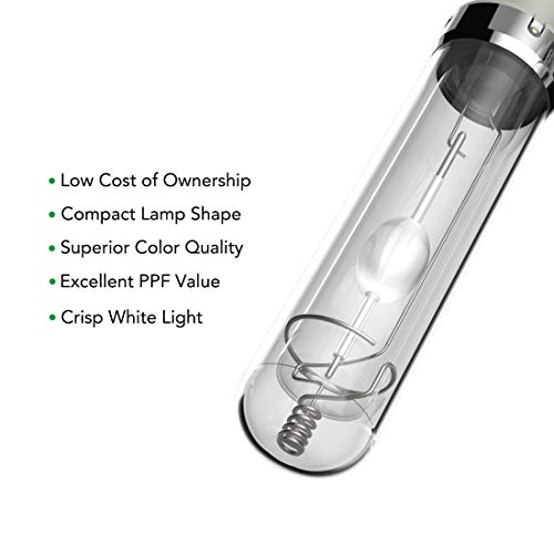 The Bud Grower Complete Indoor Grow Kit with Fan, Soil, 24"x24"x60" Hut - Everything You Need to Grow Plants Inside