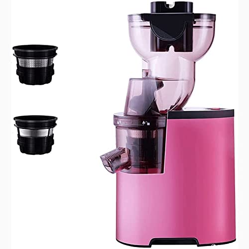 BXZYYL Juicer Machine, Juicer for Vegetable and Fruit, Slow Masticating Juice Extractor Machine with Quiet Motor, Juice Maker Easy to Assemble & Clean