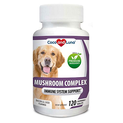 Mushroom Complex for Dogs - Immune Support for Dogs, Digestive Support, Dog Hip and Joint Health - with Turkey Tail, Lion's Mane, Shiitake, Maitake, Milk Thistle + Vitamins - 120 Chewable Tablets