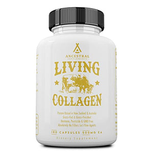 Ancestral Supplements Grass Fed (Living) Collagen—Supports Joints, Marrow Bones, Cartilage, Skin, Hair, Nails (180 Capsules)