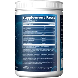 MRM Nutrition Reload BCAA+G Post-Workout Recovery| Watermelon Flavored| 9.6g Amino Acids| with CarnoSyn®| Muscle Recovery| Keto Friendly| 26 Servings