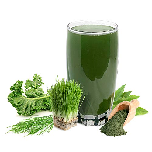 Sunfood Supergreens Powder | Organic Blend of 19 Green Superfoods, Probiotic, Enzymes, Protein & Fiber | Spirulina & Chlorella 1st Ingredients | 8 oz Bag