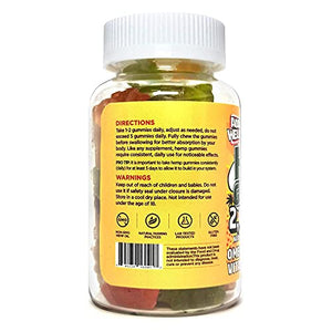 Hemp Gummies 20X - Natural High Potency Vitamin Gummies by ADDOT WellLife - Vegan Hemp Oil Infused Gummy - (2 Bottles 120 Gummies, Original 20X)