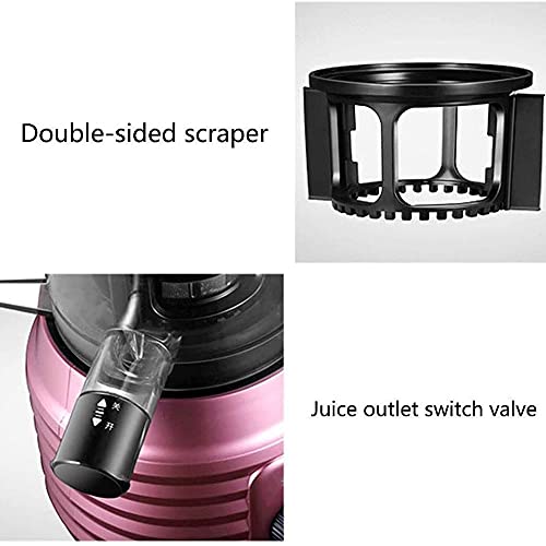 XBYUNDING Juicer Machines Machines,Professional Cold Press Juicer Extractor Machine,Quiet Motor,Reverse Function,Slow Masticating Juicer With Brush,for Fruit Vegetable Juice