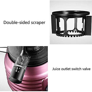 XBYUNDING Juicer Machines Machines,Professional Cold Press Juicer Extractor Machine,Quiet Motor,Reverse Function,Slow Masticating Juicer With Brush,for Fruit Vegetable Juice