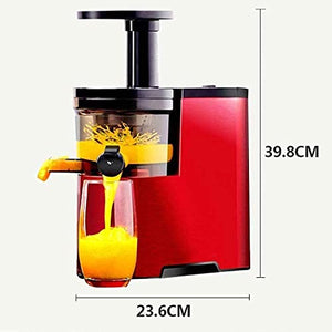 WXLBHD Juicer, Slow Masticating Juicer Extractor Easy to Clean, Cold Press Juicer, Juicer with Quiet Motor & Reverse Function, for Nutrient Fruit & Vegetable Juice