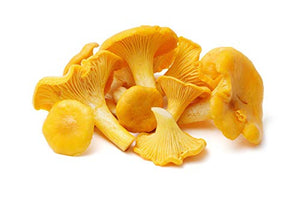 Chanterelle Mushroom (Cantharellus cibarius) Mycelium Spawn Dried Seeds (25g) by Garden Pleasure