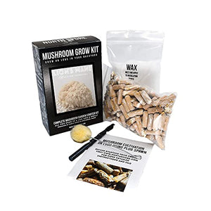 North Spore Lion's Mane Mushroom Log Kit, Outdoor DIY Mushroom Kit, Easy & Fun Wellness Hobby, Includes 100 Count Mushroom Plugs for Logs, Made in USA, Gourmet Culinary Mushrooms, Medicinal Mushrooms