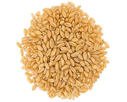Hard White Wheat Berries • Family Farmed in Washington State • 100% Desiccant Free • 25 lbs Bulk • Sproutable • Non-GMO Project Verified • Kosher • Poly Bag
