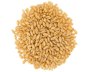 Hard White Wheat Berries • Family Farmed in Washington State • 100% Desiccant Free • 25 lbs Bulk • Sproutable • Non-GMO Project Verified • Kosher • Poly Bag