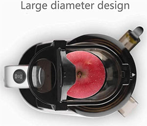 Juicer Machines Slow Masticating Juicer Extractor,3.15 Inches Wide Chute Cold Press Juicer for Easy Juice,High Juice Yield for Fruit and Vegetable