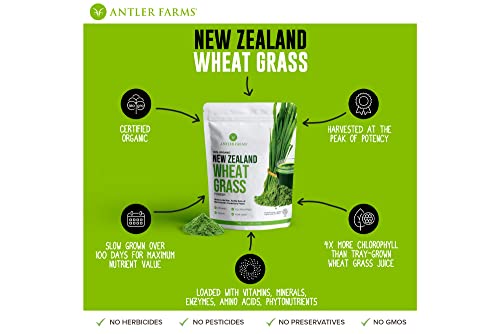 Antler Farms - 100% Pure New Zealand Organic Wheatgrass Powder, 40 Servings, 200g - Raw, Vegan, Gluten Free, Nutrient Rich, High Chlorophyll Wheat Grass, Detox, Essential Amino Acids, Minerals