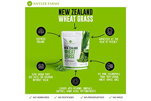 Antler Farms - 100% Pure New Zealand Organic Wheatgrass Powder, 40 Servings, 200g - Raw, Vegan, Gluten Free, Nutrient Rich, High Chlorophyll Wheat Grass, Detox, Essential Amino Acids, Minerals