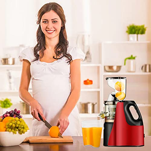 Slow Masticating Juicer, Easy Clean Juice Extractor Machine, Cold Press Juicer with Quiet Motor, Reverse Function, High Yield, Wide Feed Chute, 2 Juice Cup 1 Brush for Vegetables and Fruits Use