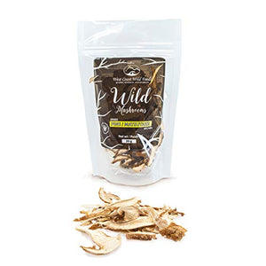 West Coast Wild Foods | Dried Wild Mushrooms (Matsutake - Pine, 0.70oz - 20g)