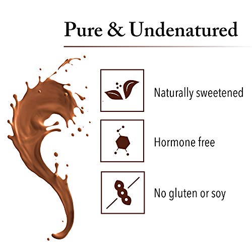 Whey Factors by Natural Factors, Grass Fed Whey Protein Concentrate, Aids Muscle Development and Immune Health, Double Chocolate, 12 oz (12 servings)