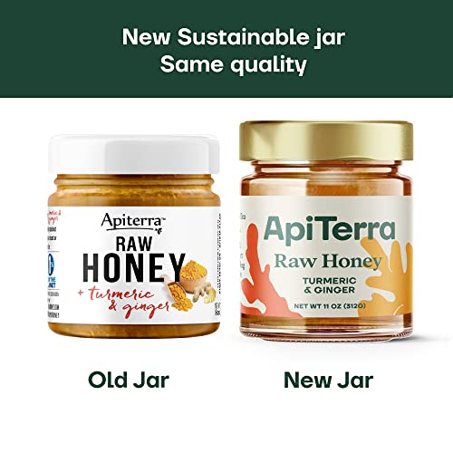 Apiterra - 100% Pure Raw Honey Infused with Turmeric and Ginger - 8 Ounce, 4 Count (total 32 ounce)