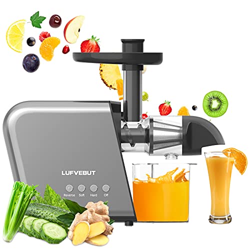Vegetable and Fruit Masticating Juicers Extractor for Wheatgrass Tomato Leafy Greens Carrots Celery Ginger Beet Roots, Cold Press Slow Juicer Machines with Reverse Function High Juice Yield Easy Clean