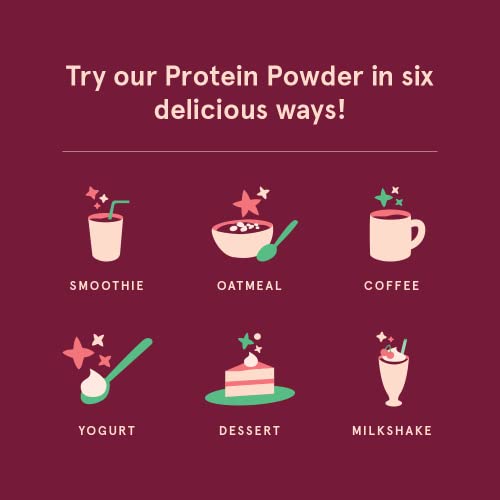 SB Organics Chocolate Vegan Protein Powder - 1.46 lb Canister of Plant Based Organic 21g Protein Blend Shake Mix - Soy, Dairy, and Gluten Free