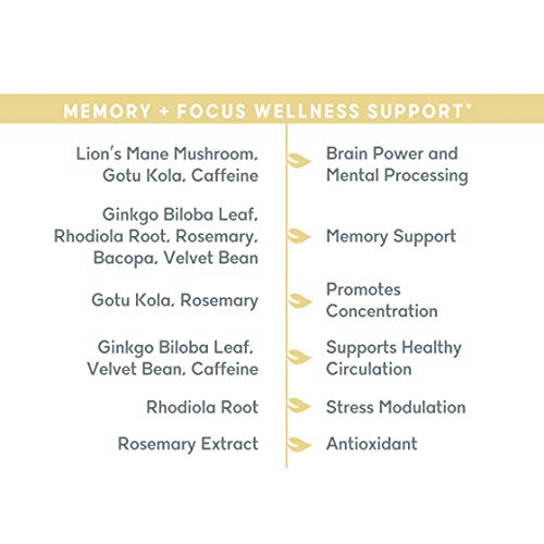 Balanced Vibe Memory + Focus Supplement - Promotes Healthy Brain and Concentration - Made with Proprietary Blend of Organic Lion’s Mane, Bacopa, Rhodiola, Nootropic w/Adaptogens - 90 Caps