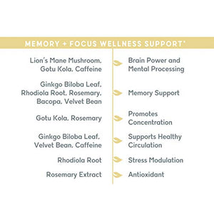 Balanced Vibe Memory + Focus Supplement - Promotes Healthy Brain and Concentration - Made with Proprietary Blend of Organic Lion’s Mane, Bacopa, Rhodiola, Nootropic w/Adaptogens - 90 Caps