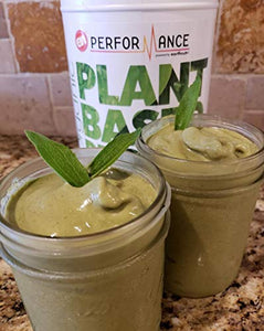 EarthNutri Organic Plant Based Protein Caramel Coffee Certified Organic Plant Sources, PANMOL B Complex, Quinoa Sprouts, Pea Protein, Hemp Protein, Oat Bran, Flax Seed Protein 31.49 oz