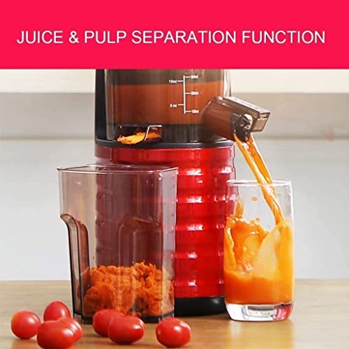RenminRoad Slow Masticating Juicer Wide Chute Juice Extractor Cold Press Juicer Machine With Quiet Motor/Reverse Function/Juice Jug for Fruits &Vegetables