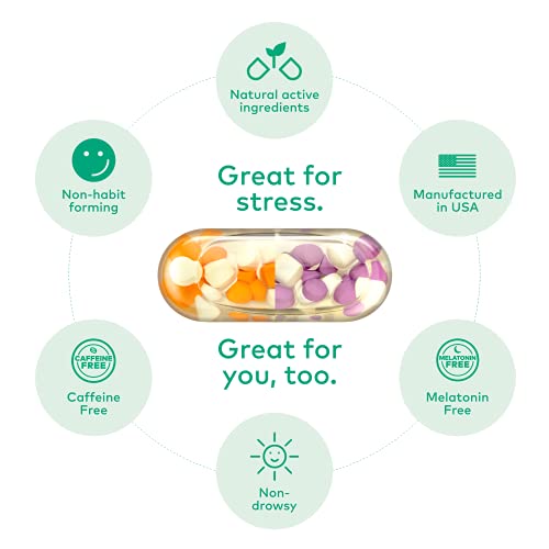 R3SET Double Pack Calm Day Stress & Anxiety Relief Supplement, Calm & Focus, with Ashwagandha, L-Theanine, Vitamin D, Valerian, Omega-3, 28 Veg Caps