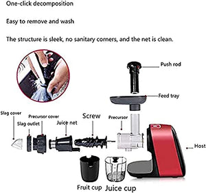 BXZYYL Juicer, Slow Masticating Juicer Extractor with Reverse Function, Cold Press Juicer Machine with Quiet Motor, Juice Jug for Vegetables and Fruits