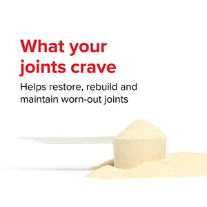 Vibrant Health, Joint Vibrance, Comprehensive Joint and Cartilage Support, 21 Servings