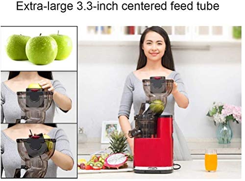 wan QIN Juicer Machines, Masticating Juicer, 3.2-Inch Wide Chute Cold Press Juicer, Easy to Clean with Brush, Carrot Slow Juicer Machine, High Nutrition Reserve & Juice Yield Juice Machine