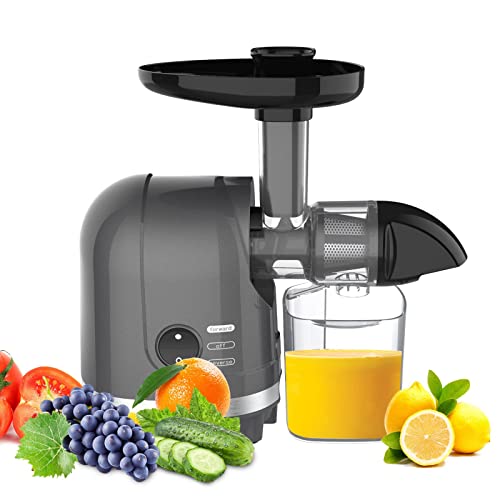 Cold Press Juicer Machines for Vegetables & Fruits, Slow Masticating Juice with High Juice Yield Quiet Motor