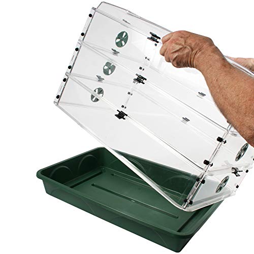 EarlyGrow 95457 24" x 15" x 16.75" Domed Propagator, Green, 3 Side Extenders and Locking Clip Set