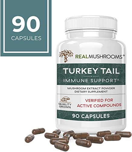 Real Mushrooms Turkey Tail Mushroom Supplements for Immune Support, Wellness, & Vitality | Vegan, Non-GMO Turkey Tail Capsules (90 Capsules / 45 Day Supply)