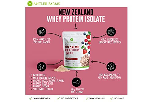 Antler Farms - 100% Grass Fed New Zealand Whey Protein Isolate, Mixed Berry Flavor, 30 Servings, 2 lbs - Delicious, Cold Processed, Rapidly Absorbed, Keto Friendly, NO-Hormones, NO-GMOs