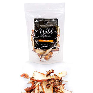 West Coast Wild Foods | Dried Wild Mushrooms (Lobster, 1.41oz - 40g)