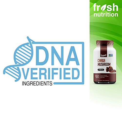 Organic Chaga Mushrooms – Strongest DNA Verified 1650mg Per Serving – High in Fiber – Non GMO, Gluten & Soy Free, Vegan Friendly