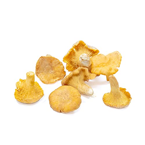 West Coast Wild Foods | Dried Wild Mushrooms (Chanterelle, 0.5lb)