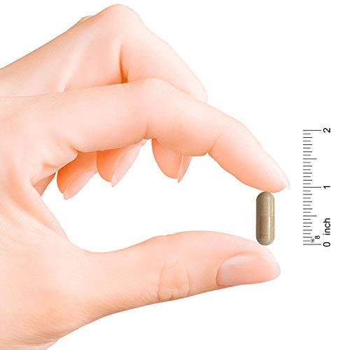 Codeage Grass Fed Bone Marrow Supplement - Freeze Dried, Non-Defatted, & Desiccated Beef Bone Marrow Pills - Raw Whole Bone Marrow, Bone Matrix, Cartilage - 3000mg per Serving - 180 Capsules
